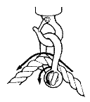 Cottor Pin