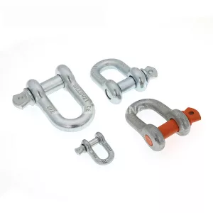 Dee Shackles