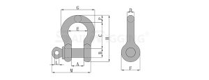 G209 Shackle drg