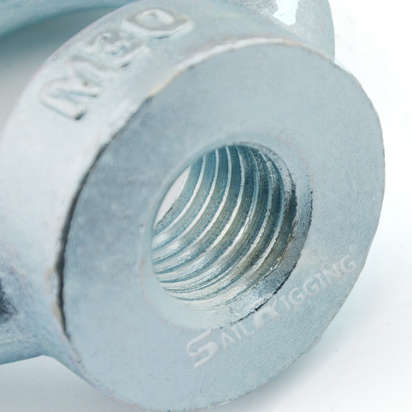 DIN582 EYE NUT
