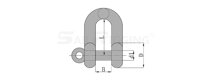 JIS TYPE SHACKLE WITHOUT COLLOR